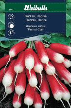 Reddik 'Pernot Claire'